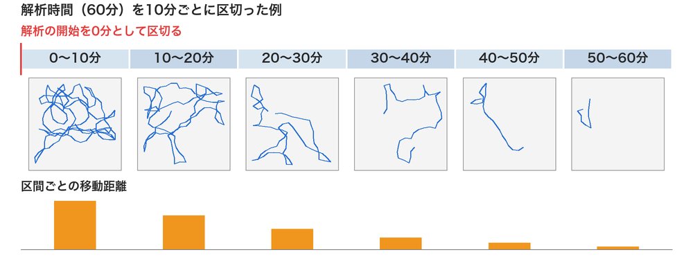 時間分割の模式図。60分の解析時間を10分ごとの6つの区間に区切った帯と、区間ごとの移動軌跡の例、その下に区間ごとの移動距離の棒。軌跡も棒も後の区間ほど短い